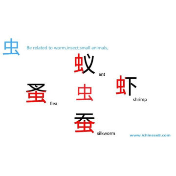 Studying Authentic Survival Chinese Lesson For Beginners